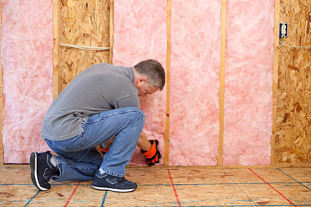 Best Eco-Friendly Insulation in Caldwell, OH